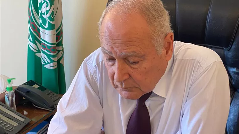 أبو الغيط يبحث انعكاسات أزمة كورونا مع مجموعة مجلس العلاقات العربية والدولية