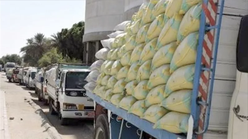 محافظ الغربية : توريد 4814 طن قمح للصوامع والشون حتى الآن