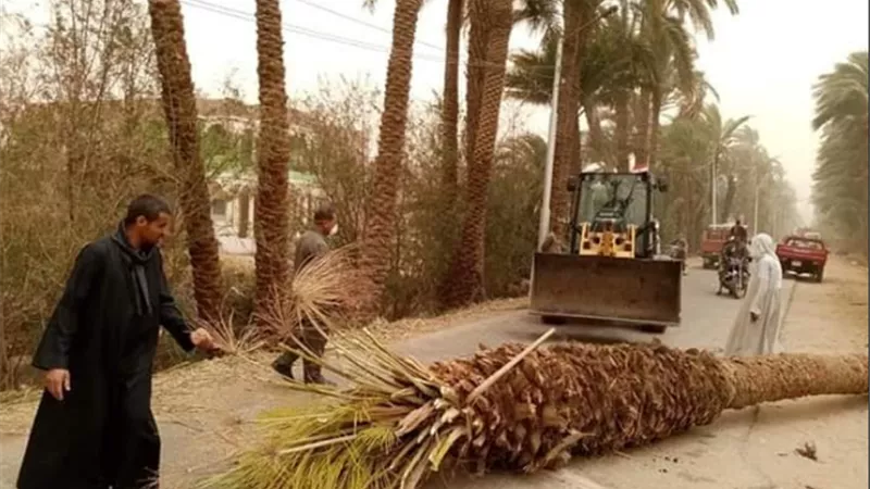 رفع آثار الطقس السيء بقري مركز أسيوط