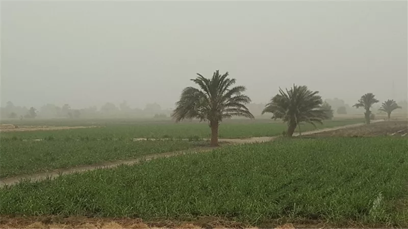 عاصفة ترابية شديدة تضرب الأقصر