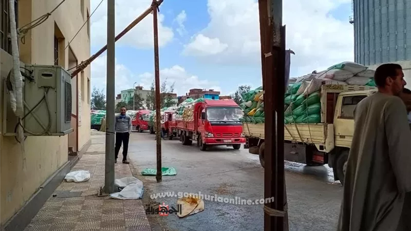 توريد 28933 طن قمح منذ بداية موسم الحصاد بكفر الشيخ