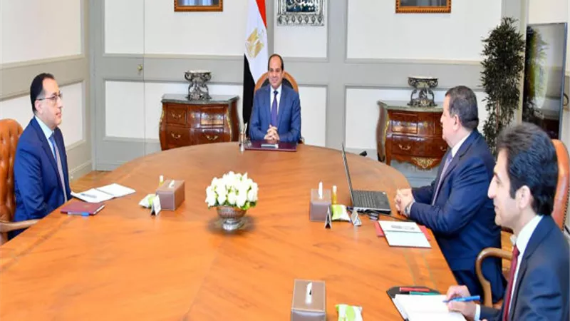 أسامة هيكل يعرض على السيسي رؤية تطوير السياسة الإعلامية