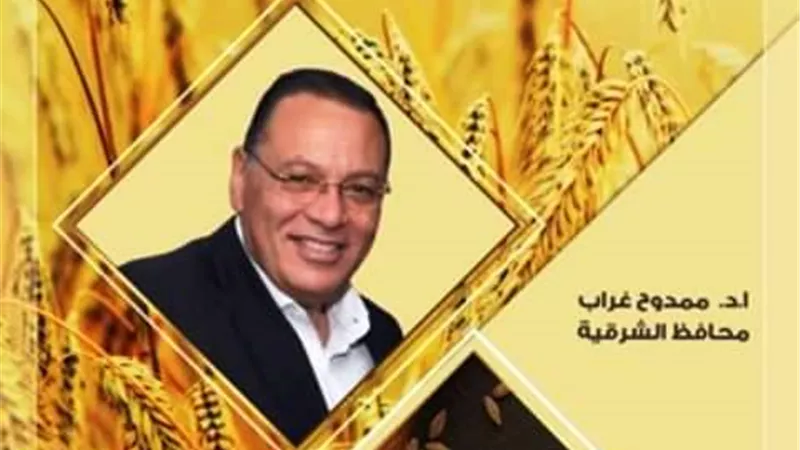 صوامع الشرقية تستقبل اليوم (31544) ألف طن من الذهب الأصفر