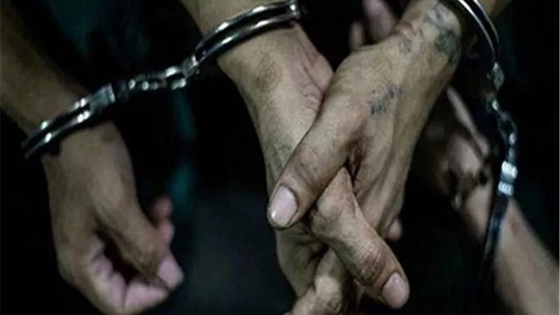 ضبط 3 تشكيلات عصابية للاتجار بالمخدرات بالقليوبية