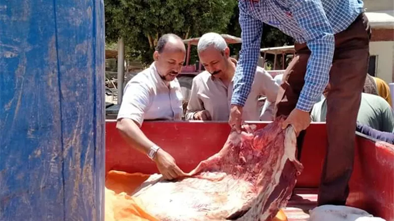 ضبط لحوم ومنتجات غير صالحة في حملة تموين بأسيوط