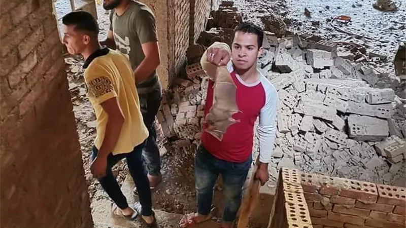 ظهور الخفافيش للمرة الثانية بشبين القناطر