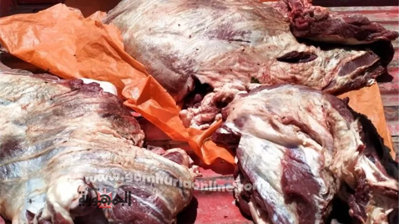 محافظ أسيوط: ضبط لحوم مذبوحة خارج السلخانة خلال حملة تموينية بالبدارى