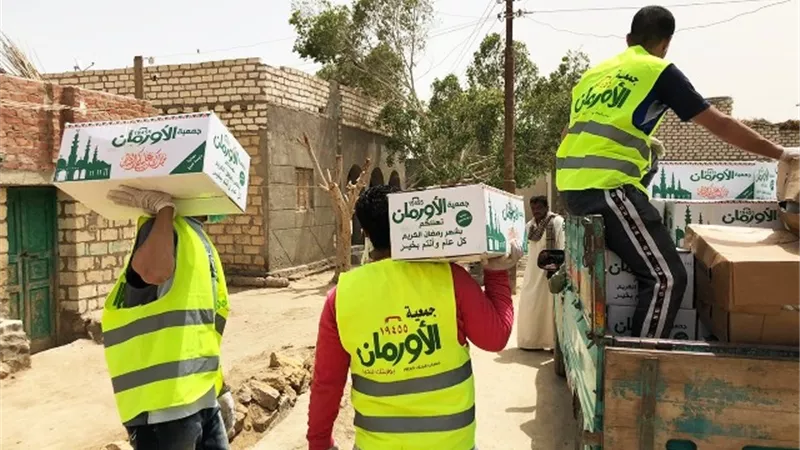 ٨ آلاف كرتونه مواد غذائية من الأورمان بكفر الشيخ