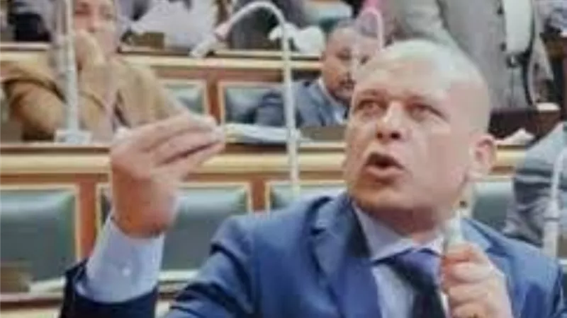 النائب محمد الحناوى : شخصية الشهيد المنسى فى مسلسل الاختيار أرعبت نظامى تميم واردوغان الارهابيين