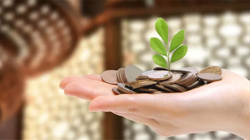 هل يجوز إخراج زكاة عن المتوفى ؟.. فيديو