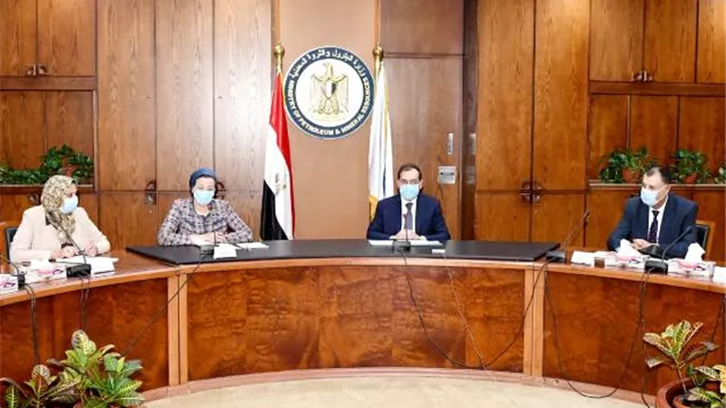 وزيرا البترول والبيئة يبحثان جهود التوافق البيئي للشركات بالسويس والبحر الأحمر