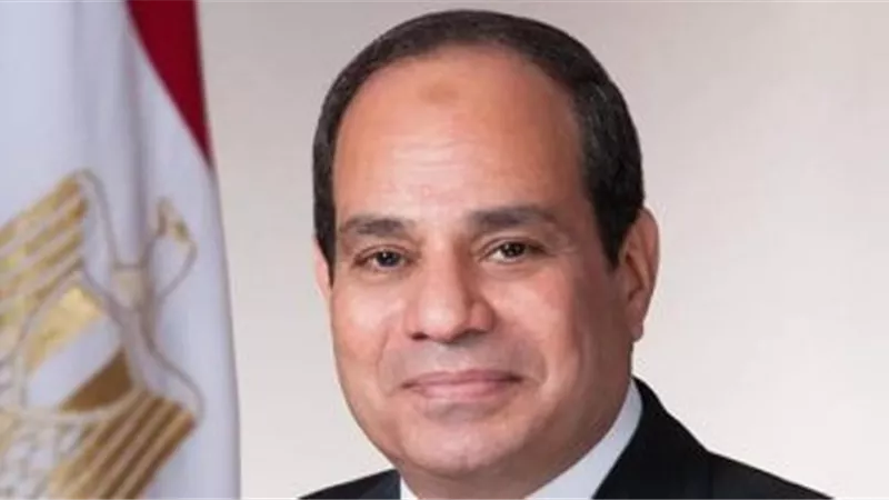 السيسى يتابع تطوير المنظومة القضائية وميكنتها.. ويطالب بالتيسير على المواطنين