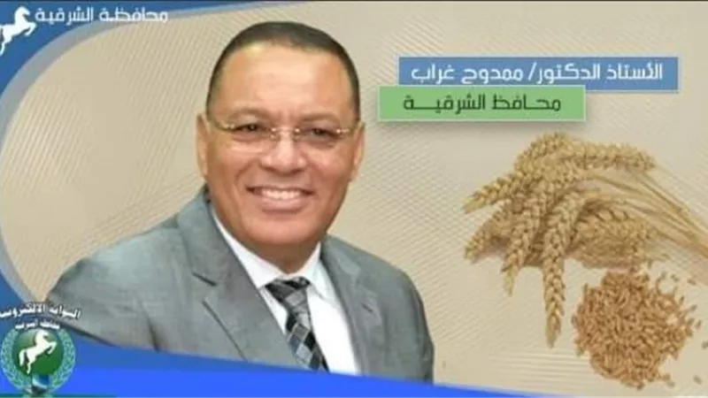 توريد ٢٤ ألف طن من الذهب الأصفر لصوامع وشون الشرقية اليوم