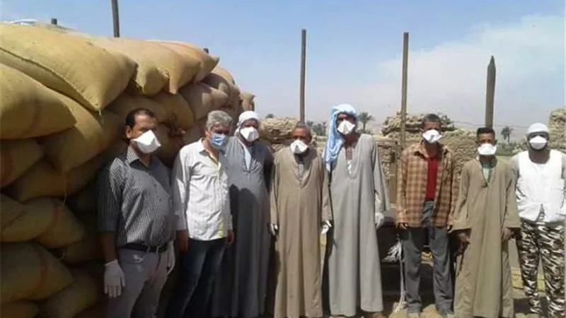 زراعة أسيوط تتفقد المطاحن والشون لمتابعة توريدات القمح.. بالصور