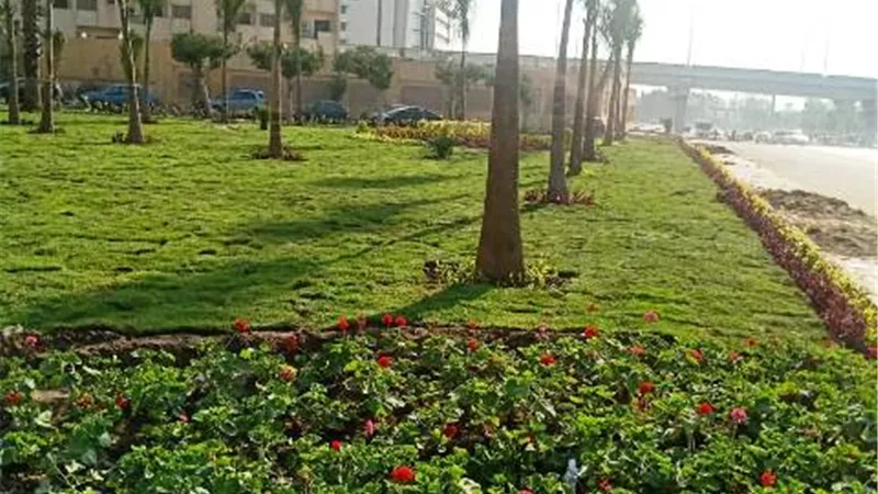 إعادة زراعة حديقة طريق النصر بشرق القاهرة.. بالصور
