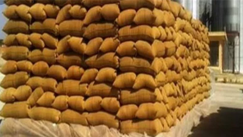 توريد 40 ألف 501 طن قمح لصوامع سوهاج