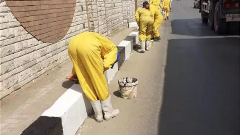 فاروق يقود عمليتى دهان مداخل الزقازيق القاهرة الزراعي وتهذيب الاشجار وجمع القمامة