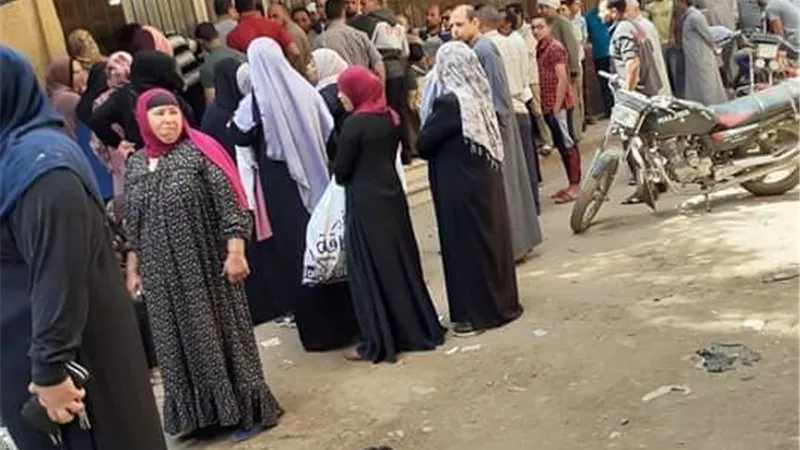 ناقوس الخطر .. زحام يومى أمام شبكة كهرباء منوف للحصول على كروت الشحن