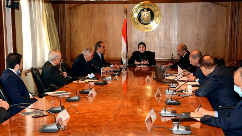 وزيرة التجارة والصناعة تصدر قرارين بإعادة تشكيل المجالس التصديرية