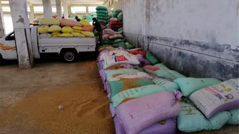 محافظ البحيرة: توريد 118159 طن قمح بصوامع وشون المحافظة