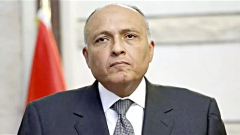 شكرى: الدولة تعمل على عودة المصريين العالقين بالخارج فى أسرع وقت