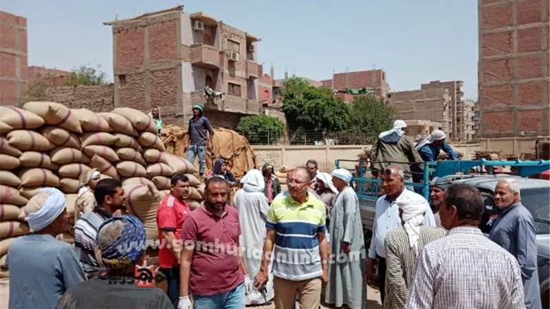 محافظ أسيوط: توريد 22 ألف و937 طن قمح وحصاد 120 ألف فدان