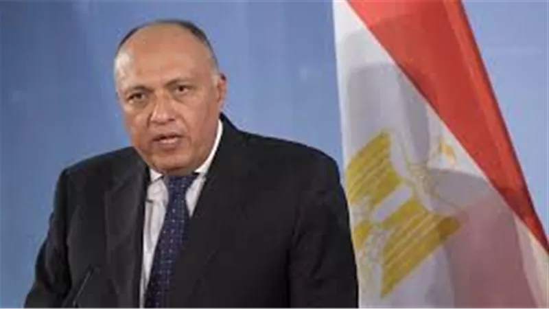 شكري: الحكومة ولجنة متابعة العالقين بالخارج مستمرة فى العمل لحين عودتهم