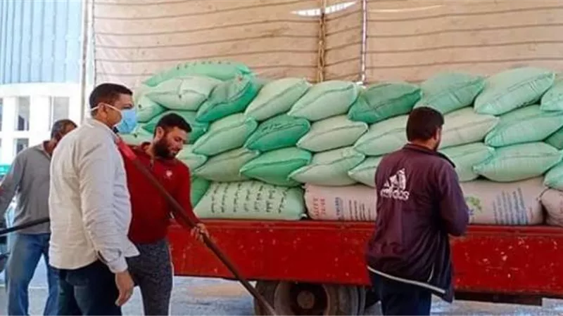 توريد ٩٧٠٨٥طن قمح بكفر الشيخ