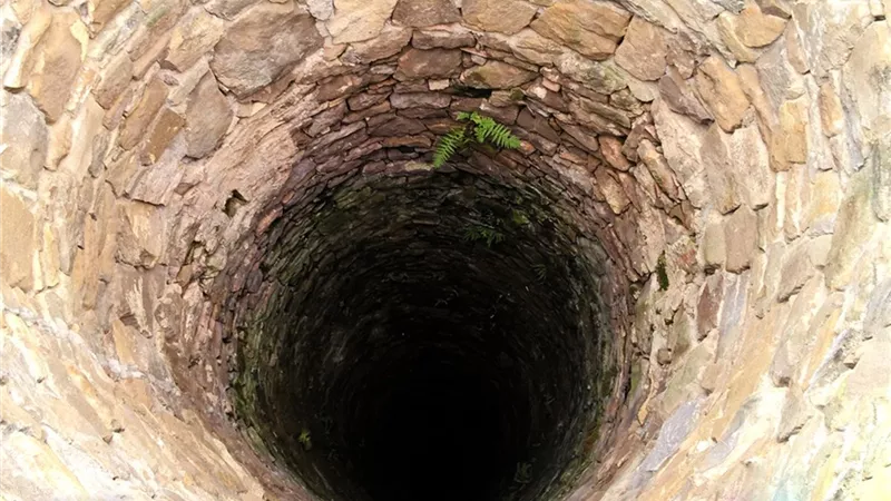 وفاة فنان معروف اثر سقوطه فى بئر