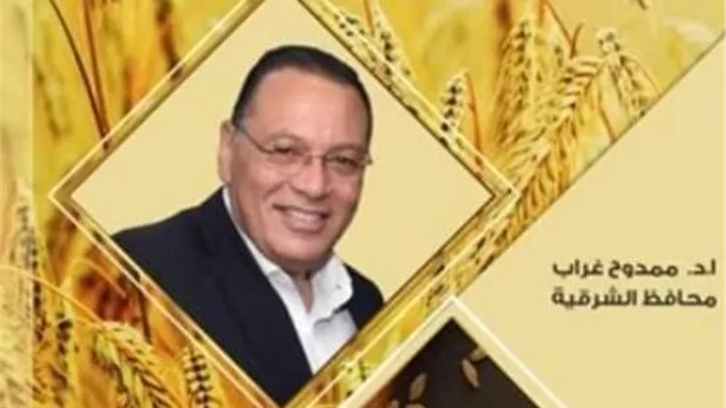 28 ألف طن من الذهب الابيض تدخل شون وصوامع الشرقية اليوم