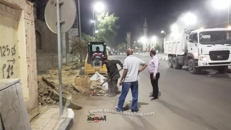 رئيس مدينة الأقصر : استمرار حملات النظافة والرش والتعقيم بالشوارع والميادين