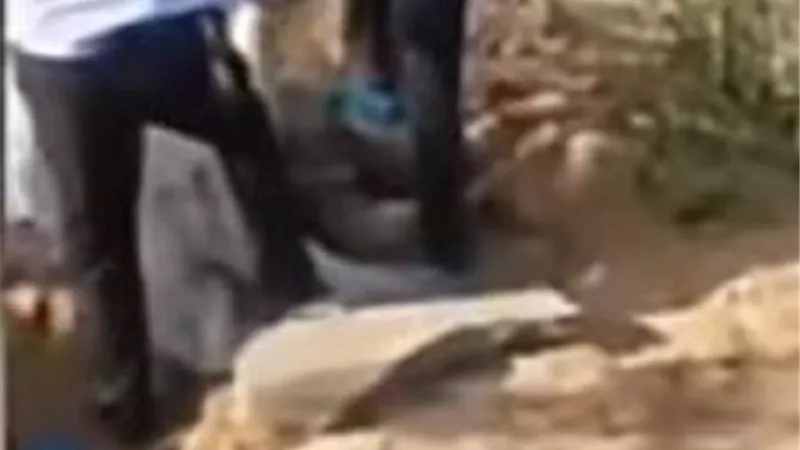 شاهد ..لقطات مروعة لاستخراج مسنه دفنها ابنها حية لـ3 ايام