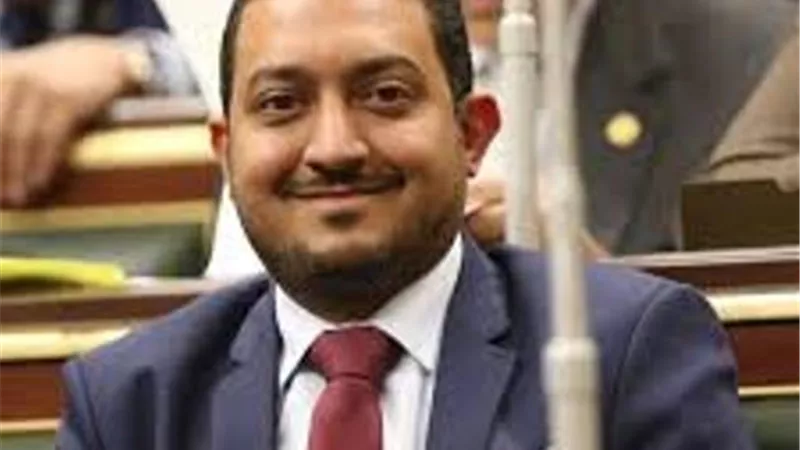 تحرك برلماني عاجل بشأن تعيين توكل كرمان في مجلس الإشراف العالمي لمحتوى الفيس بوك