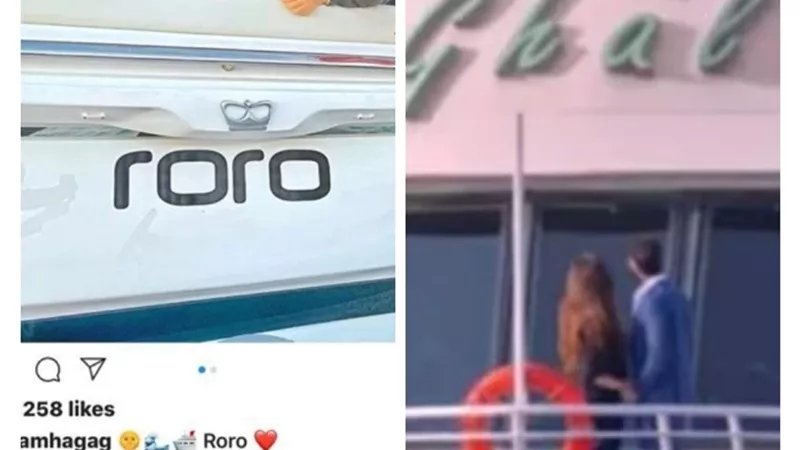 الجمهور يوجه اتهام لياسمين عبد العزيز