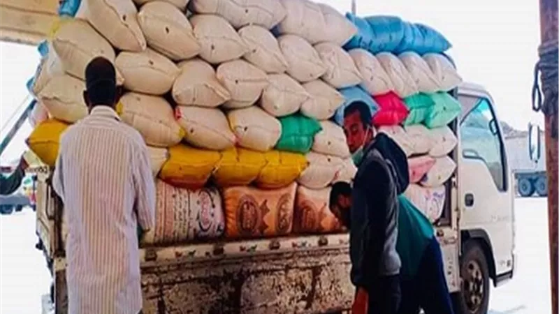 توريد 116820 طن قمح بكفر الشيخ