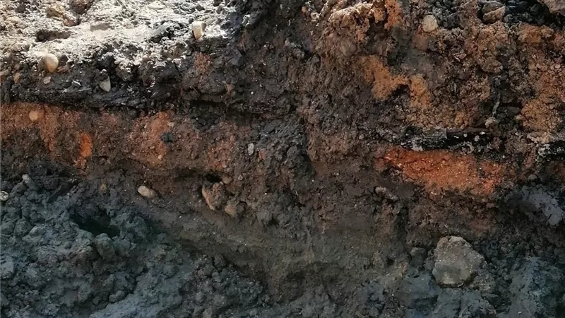 شبكة 