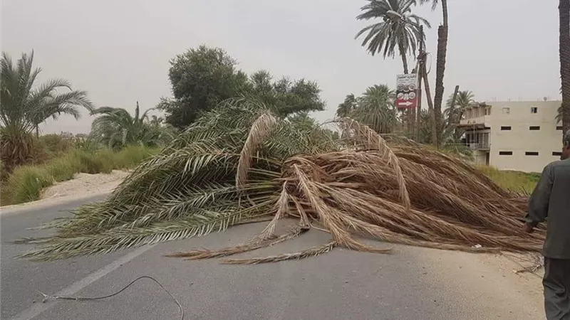 - عاصفة ترابية شديدة تضرب محافظة سوهاج -فرق المرور تحذر السائقين على الطرق ورفع درجة الاستعداد,