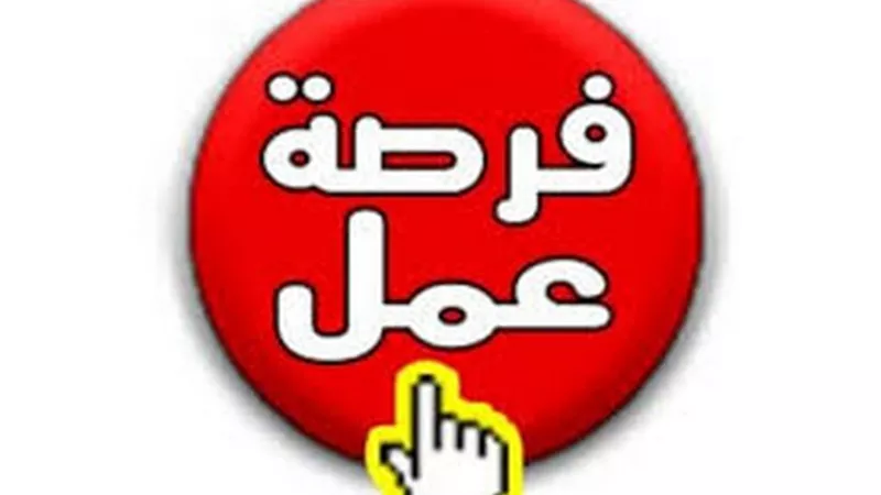 1100 وظيفة بمرتب 4 الاف جنيه.. تعرف على التفاصيل