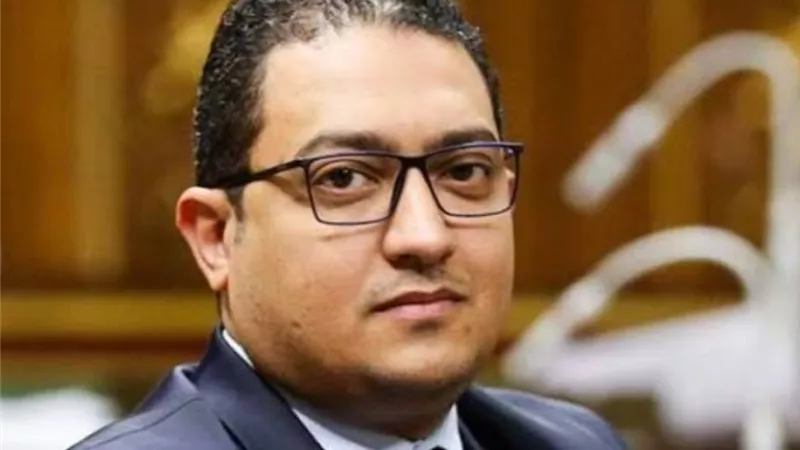 جون طلعت يوجه اقتراحا برغبة لإنشاء صندوق مخاطر للتمريض