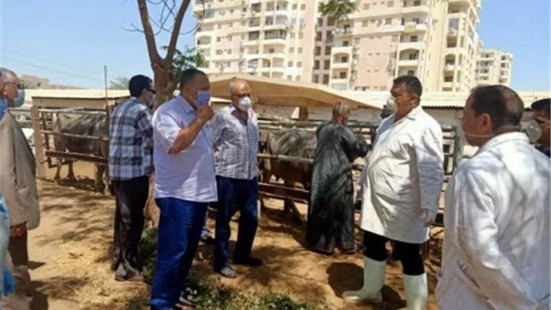 سكرتير محافظ أسيوط يترأس حملة لمتابعة الإجراءات الاحترازية لمواجهة كورونا