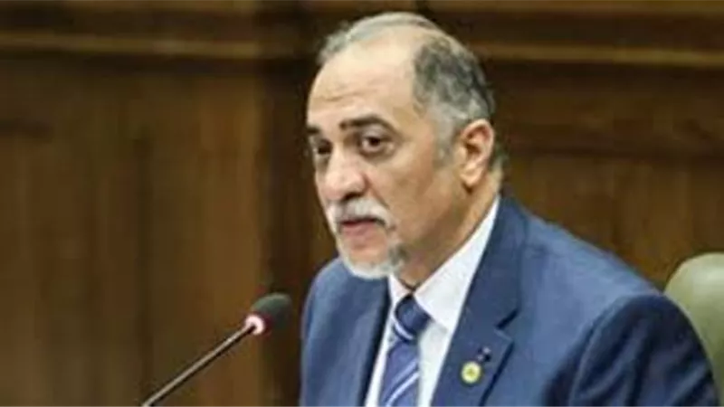 رئيس دعم مصر ينفى تعليق جلسات البرلمان بعد اصابة النائبة شيرين فراج بكورونا