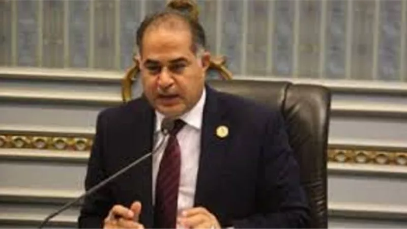 وكيل البرلمان: النائبة شيرين فراج المصابة بكورونا خالطت 12 نائبا