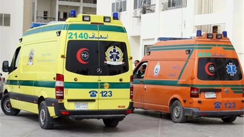 مصرع طفل بسبب الطياره الورقيه في الدقهلية