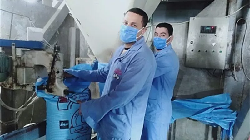 الزراعة: تطوير ورفع كفاءة مراكز تجميع الألبان بقروض ميسرة