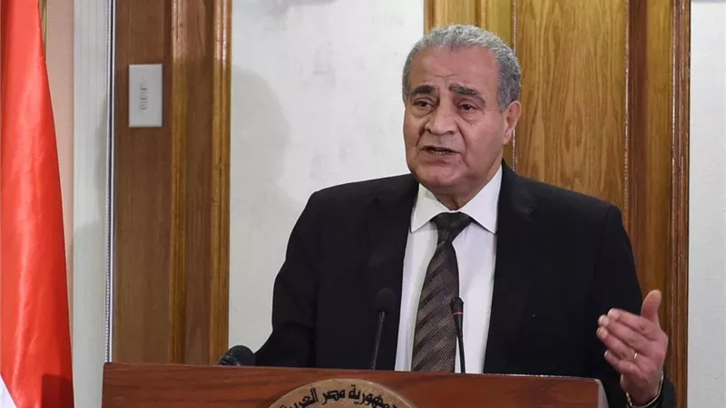 ٢٦١ مليون جنية لفارق نقاط الخبز