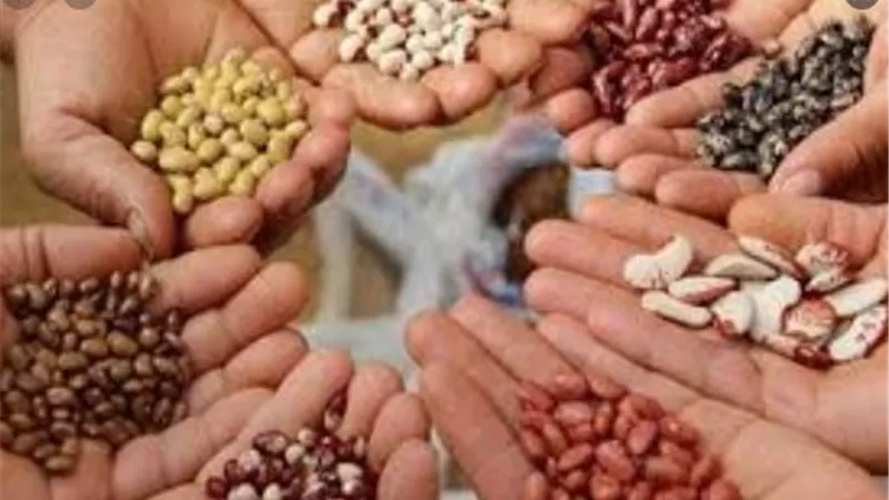 نقيب الفلاحين