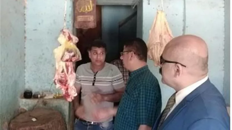 الزراعة: تكثف حملاتها على أسواق اللحوم وأماكن بيع وتداول اللقاحات البيطرية