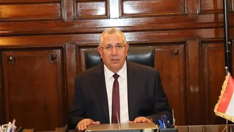 القصير : مصر الأولى عالميا في تصدير الفراولة المجمدة وفقا لتقرير مركز التجارة العالمية