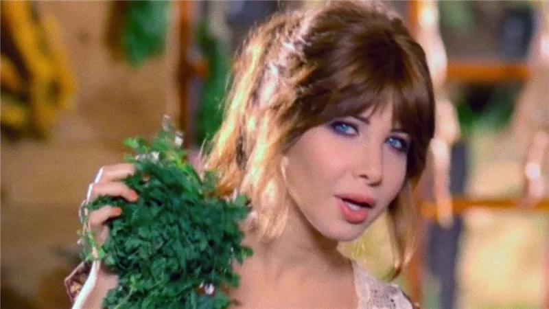 نانسي عجرم تتلقى دعوة لزيارة إسرائيل في عيد ميلادها