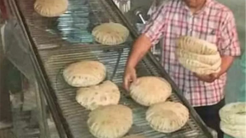 حملة تموينية لضبط مخالفات المخابز بالدقهلية
